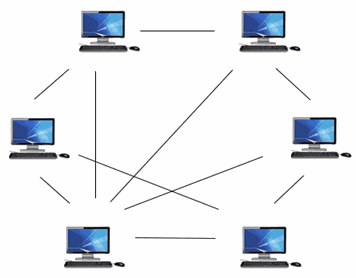 Computer Network Architecture